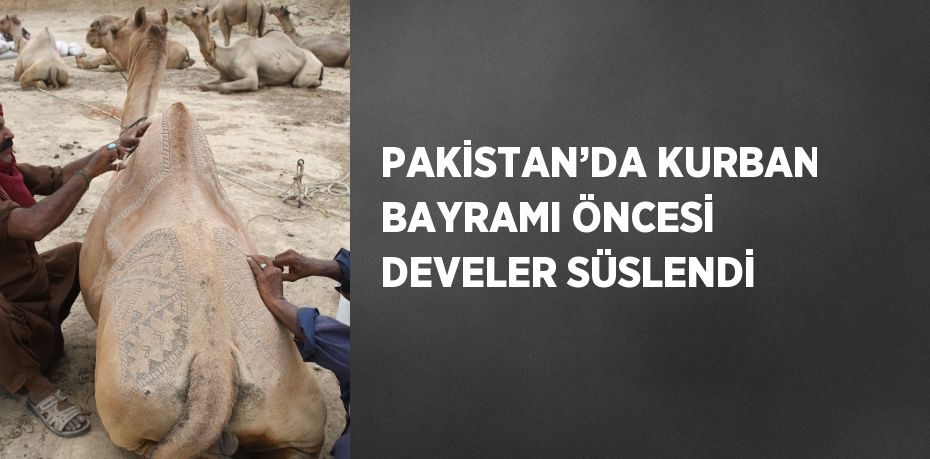 PAKİSTAN’DA KURBAN BAYRAMI ÖNCESİ DEVELER SÜSLENDİ