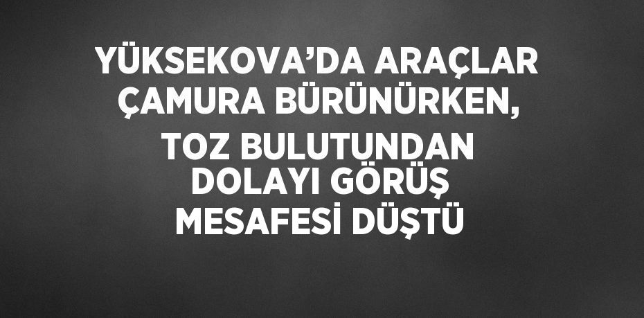 YÜKSEKOVA’DA ARAÇLAR ÇAMURA BÜRÜNÜRKEN, TOZ BULUTUNDAN DOLAYI GÖRÜŞ MESAFESİ DÜŞTÜ