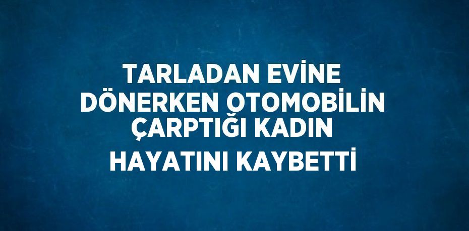 TARLADAN EVİNE DÖNERKEN OTOMOBİLİN ÇARPTIĞI KADIN HAYATINI KAYBETTİ