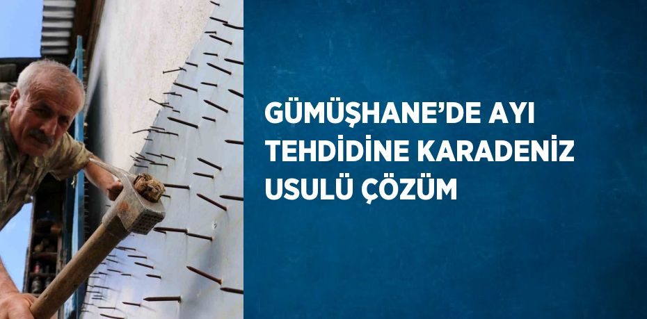 GÜMÜŞHANE’DE AYI TEHDİDİNE KARADENİZ USULÜ ÇÖZÜM