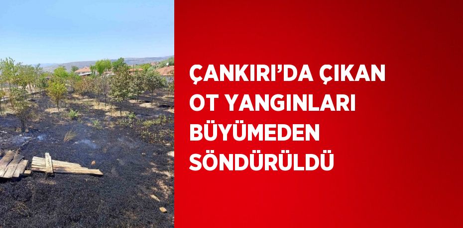 ÇANKIRI’DA ÇIKAN OT YANGINLARI BÜYÜMEDEN SÖNDÜRÜLDÜ