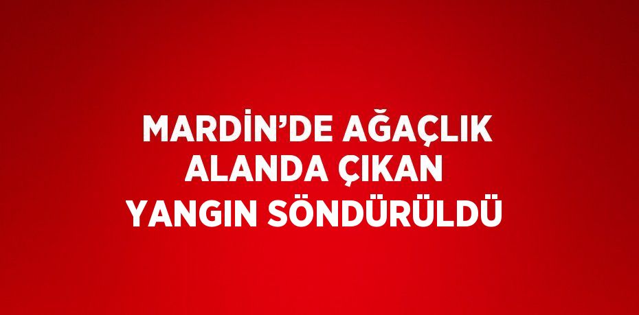 MARDİN’DE AĞAÇLIK ALANDA ÇIKAN YANGIN SÖNDÜRÜLDÜ