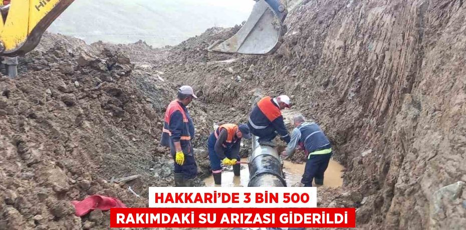 HAKKARİ’DE 3 BİN 500 RAKIMDAKİ SU ARIZASI GİDERİLDİ