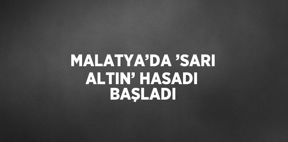 MALATYA’DA ’SARI ALTIN’ HASADI BAŞLADI