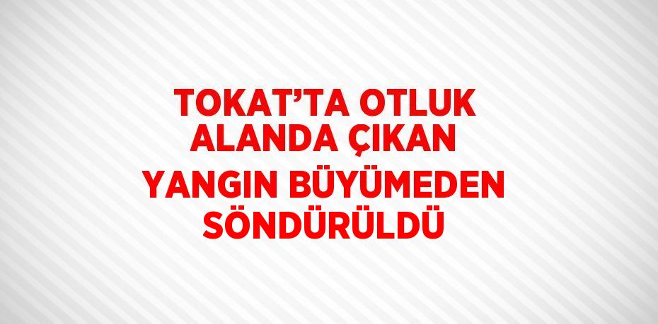 TOKAT’TA OTLUK ALANDA ÇIKAN YANGIN BÜYÜMEDEN SÖNDÜRÜLDÜ