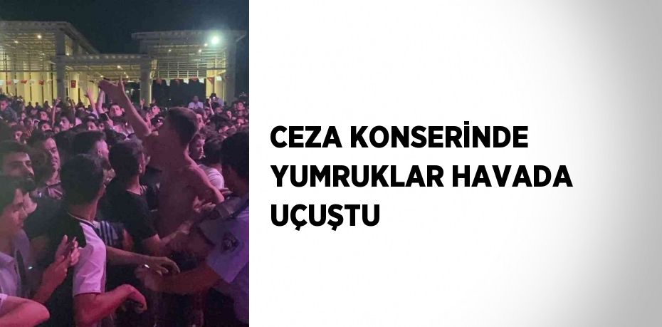 CEZA KONSERİNDE YUMRUKLAR HAVADA UÇUŞTU