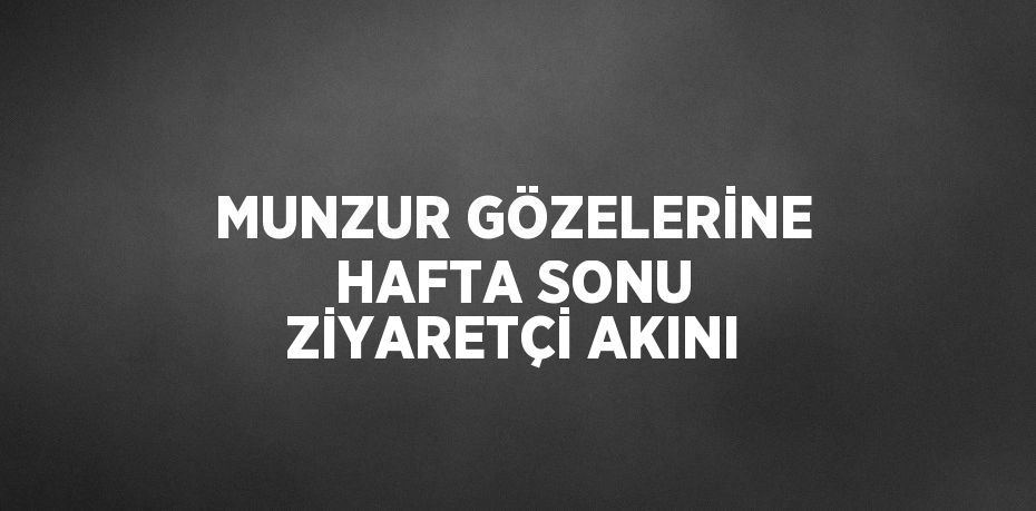 MUNZUR GÖZELERİNE HAFTA SONU ZİYARETÇİ AKINI