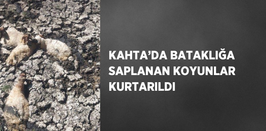 KAHTA’DA BATAKLIĞA SAPLANAN KOYUNLAR KURTARILDI