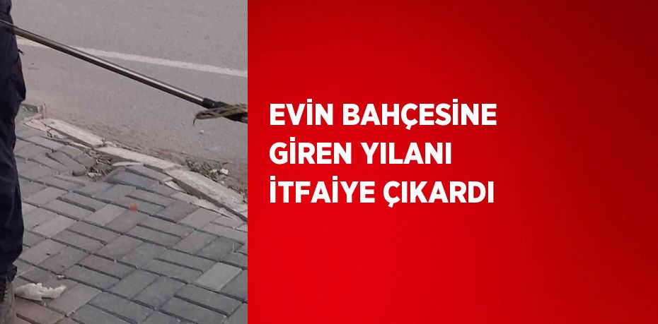 EVİN BAHÇESİNE GİREN YILANI İTFAİYE ÇIKARDI