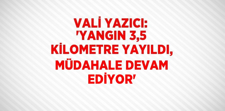 VALİ YAZICI: 'YANGIN 3,5 KİLOMETRE YAYILDI, MÜDAHALE DEVAM EDİYOR'