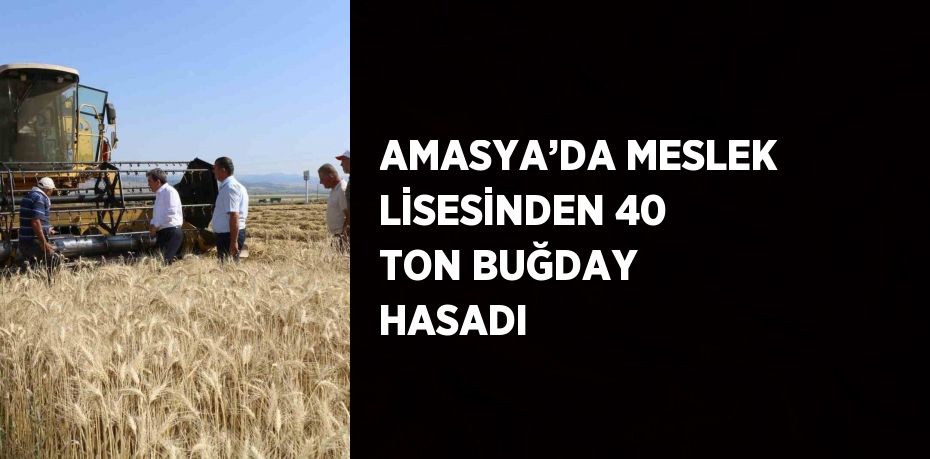 AMASYA’DA MESLEK LİSESİNDEN 40 TON BUĞDAY HASADI