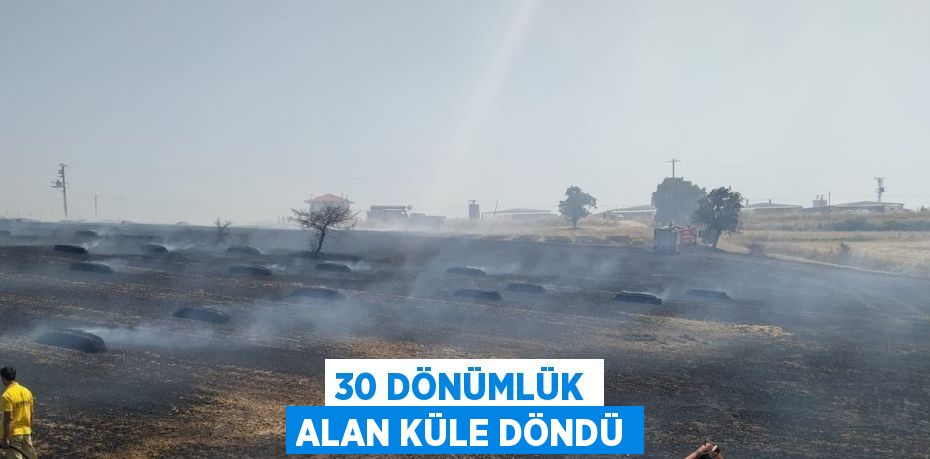 30 DÖNÜMLÜK ALAN KÜLE DÖNDÜ