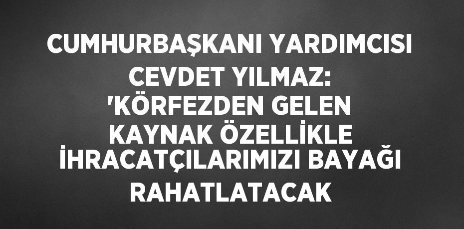 CUMHURBAŞKANI YARDIMCISI CEVDET YILMAZ: 'KÖRFEZDEN GELEN KAYNAK ÖZELLİKLE İHRACATÇILARIMIZI BAYAĞI RAHATLATACAK