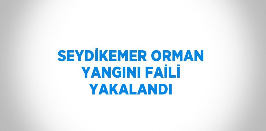 SEYDİKEMER ORMAN YANGINI FAİLİ YAKALANDI