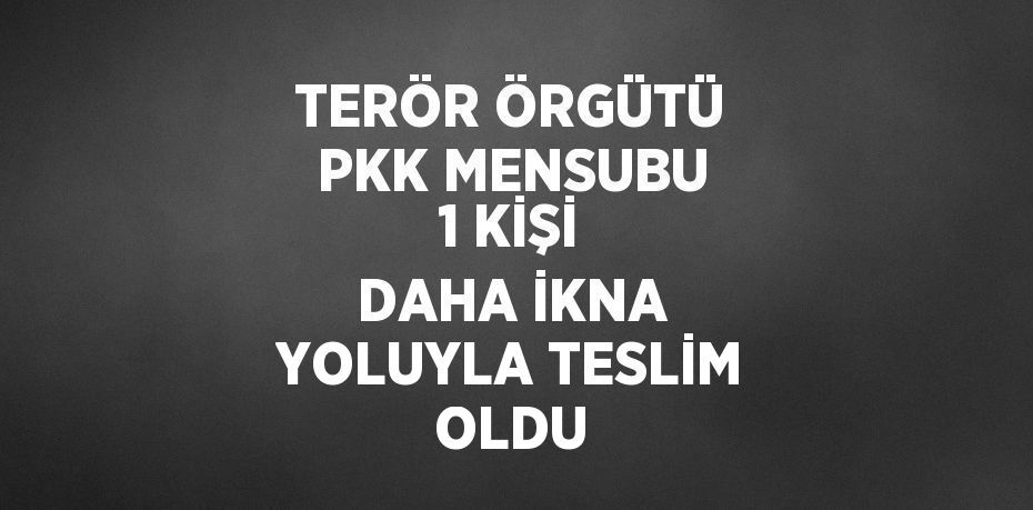 TERÖR ÖRGÜTÜ PKK MENSUBU 1 KİŞİ DAHA İKNA YOLUYLA TESLİM OLDU