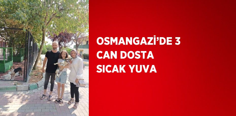 OSMANGAZİ’DE 3 CAN DOSTA SICAK YUVA