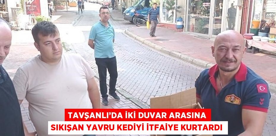 TAVŞANLI’DA İKİ DUVAR ARASINA SIKIŞAN YAVRU KEDİYİ İTFAİYE KURTARDI