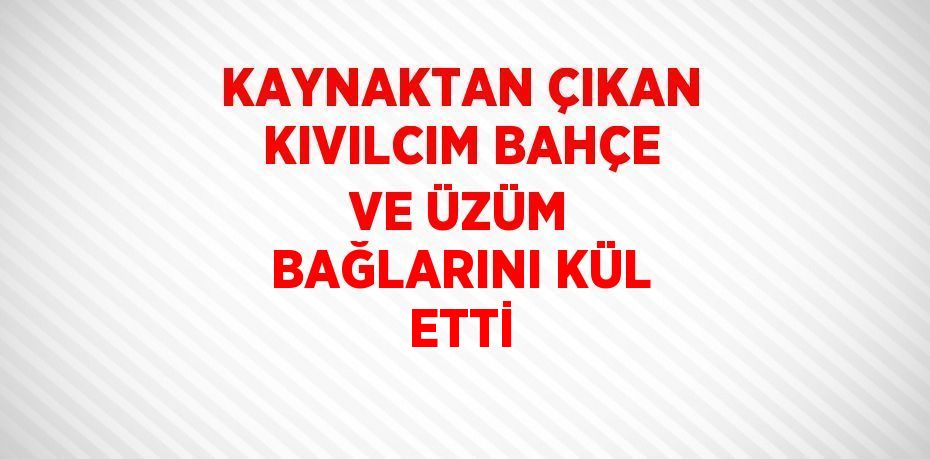 KAYNAKTAN ÇIKAN KIVILCIM BAHÇE VE ÜZÜM BAĞLARINI KÜL ETTİ