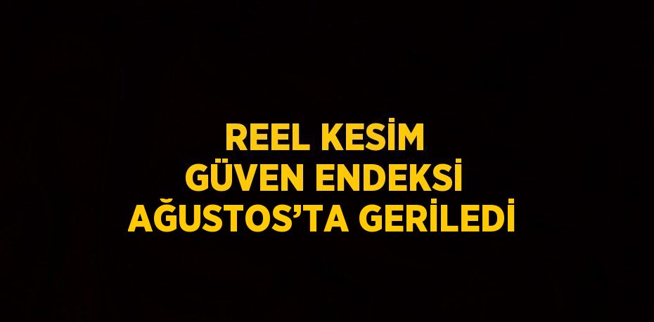 REEL KESİM GÜVEN ENDEKSİ AĞUSTOS’TA GERİLEDİ