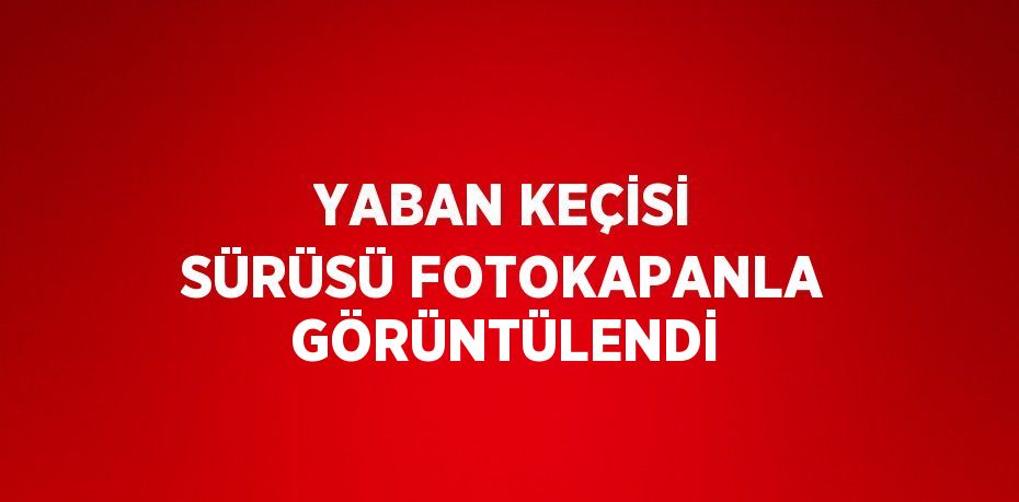 YABAN KEÇİSİ SÜRÜSÜ FOTOKAPANLA GÖRÜNTÜLENDİ