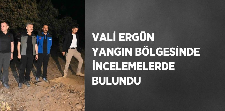 VALİ ERGÜN YANGIN BÖLGESİNDE İNCELEMELERDE BULUNDU