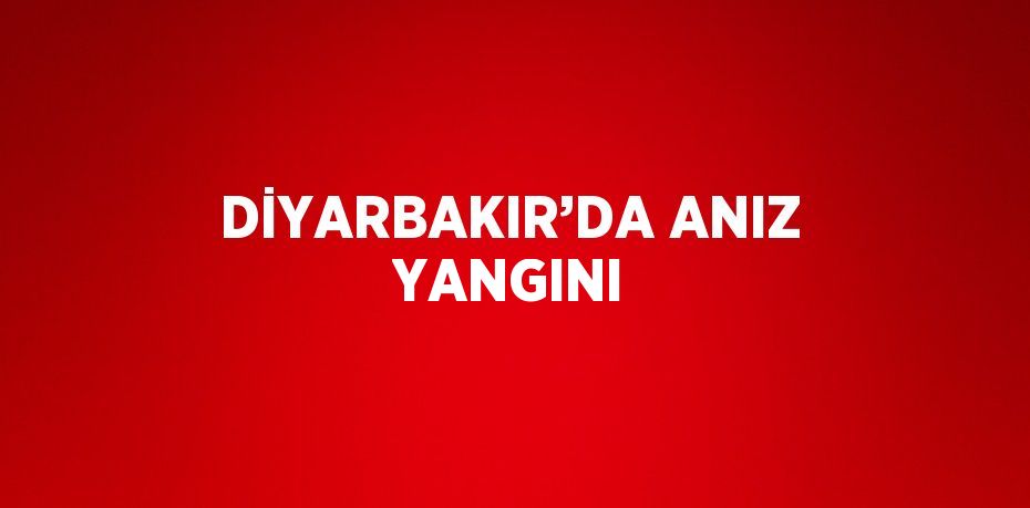 DİYARBAKIR’DA ANIZ YANGINI