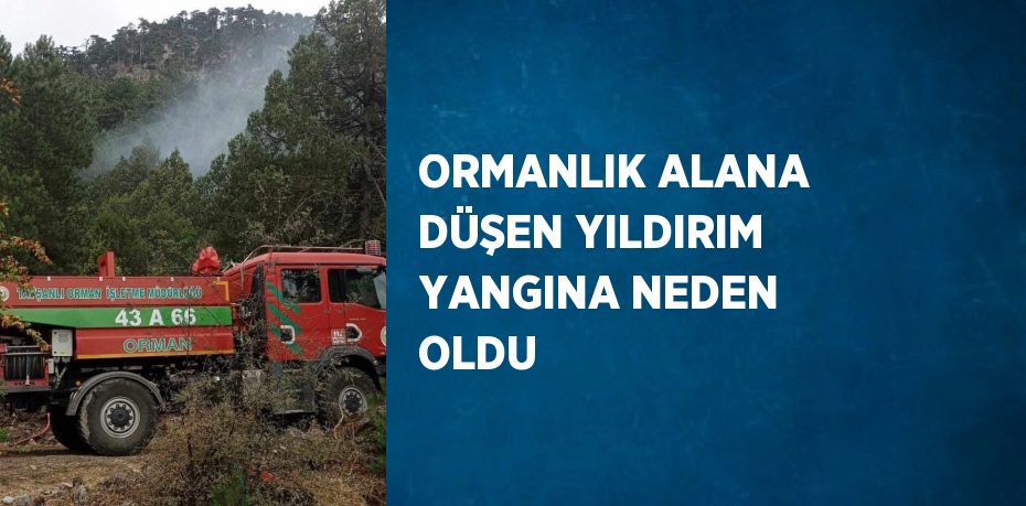 ORMANLIK ALANA DÜŞEN YILDIRIM YANGINA NEDEN OLDU