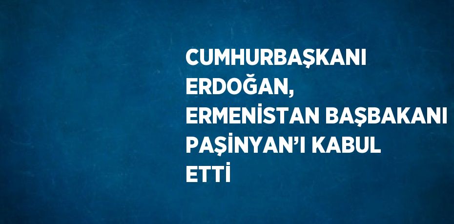 CUMHURBAŞKANI ERDOĞAN, ERMENİSTAN BAŞBAKANI PAŞİNYAN’I KABUL ETTİ