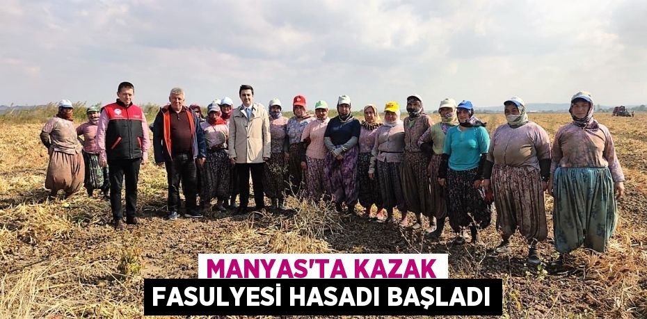 MANYAS’TA KAZAK FASULYESİ HASADI BAŞLADI