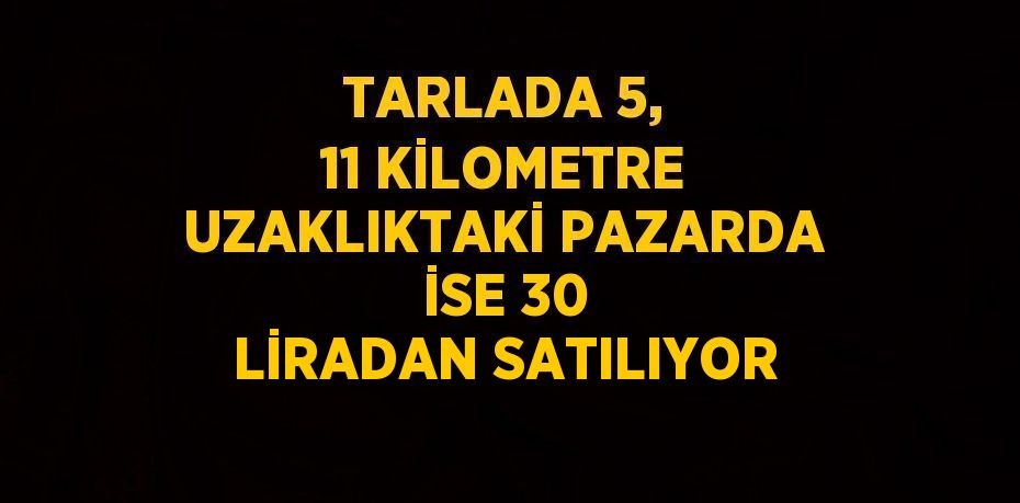 TARLADA 5, 11 KİLOMETRE UZAKLIKTAKİ PAZARDA İSE 30 LİRADAN SATILIYOR