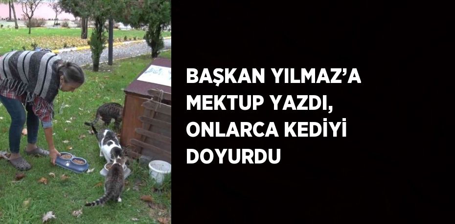 BAŞKAN YILMAZ’A MEKTUP YAZDI, ONLARCA KEDİYİ DOYURDU