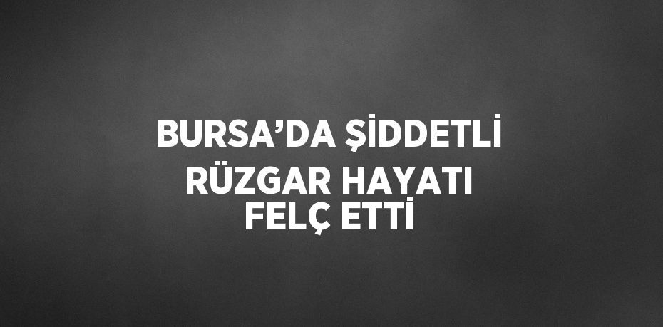 BURSA’DA ŞİDDETLİ RÜZGAR HAYATI FELÇ ETTİ