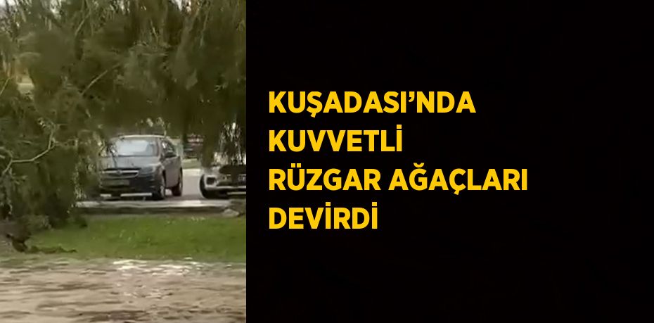 KUŞADASI’NDA KUVVETLİ RÜZGAR AĞAÇLARI DEVİRDİ