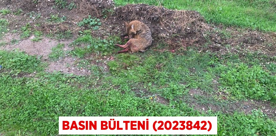 Basın Bülteni (2023842)