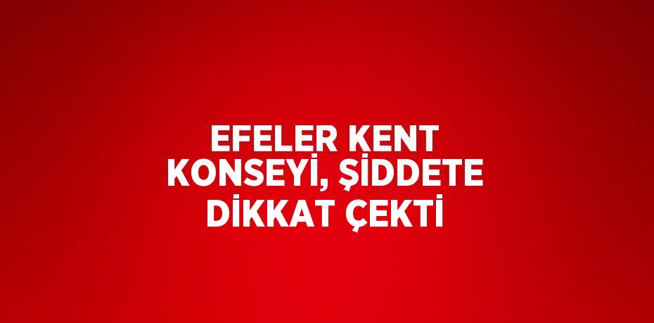 EFELER KENT KONSEYİ, ŞİDDETE DİKKAT ÇEKTİ