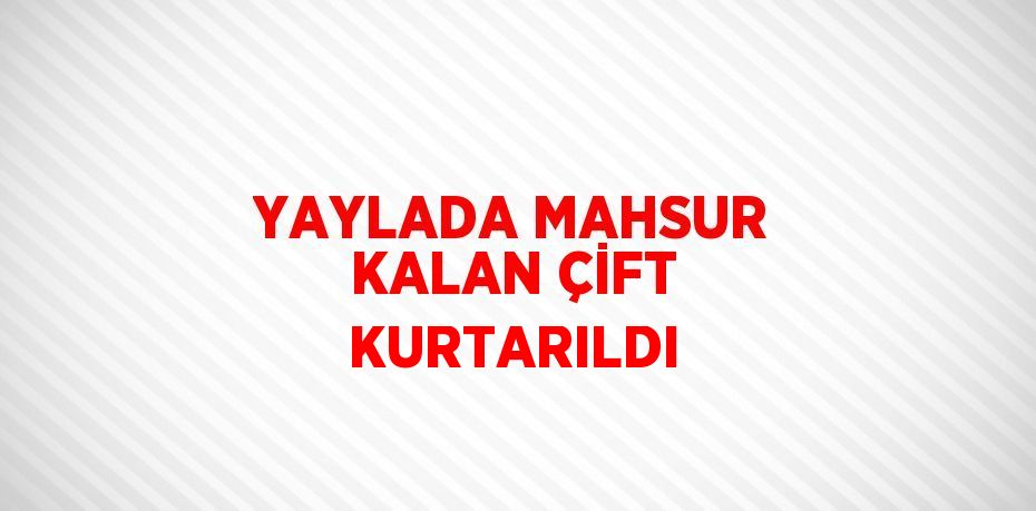 YAYLADA MAHSUR KALAN ÇİFT KURTARILDI