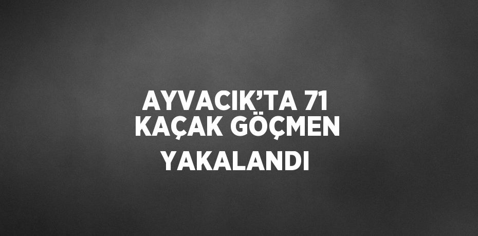 AYVACIK’TA 71 KAÇAK GÖÇMEN YAKALANDI