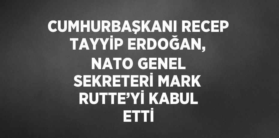 CUMHURBAŞKANI RECEP TAYYİP ERDOĞAN, NATO GENEL SEKRETERİ MARK RUTTE’Yİ KABUL ETTİ