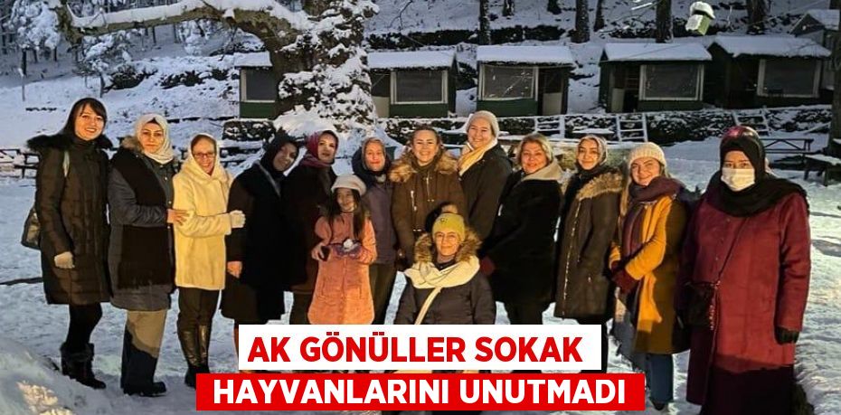 AK GÖNÜLLER SOKAK  HAYVANLARINI UNUTMADI