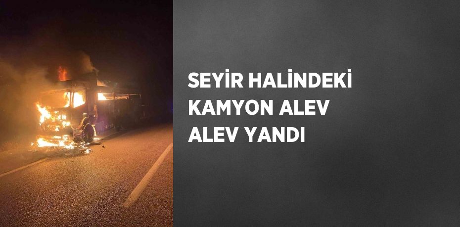 SEYİR HALİNDEKİ KAMYON ALEV ALEV YANDI