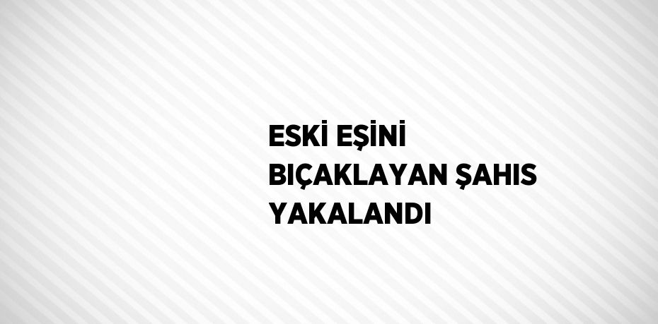 ESKİ EŞİNİ BIÇAKLAYAN ŞAHIS YAKALANDI