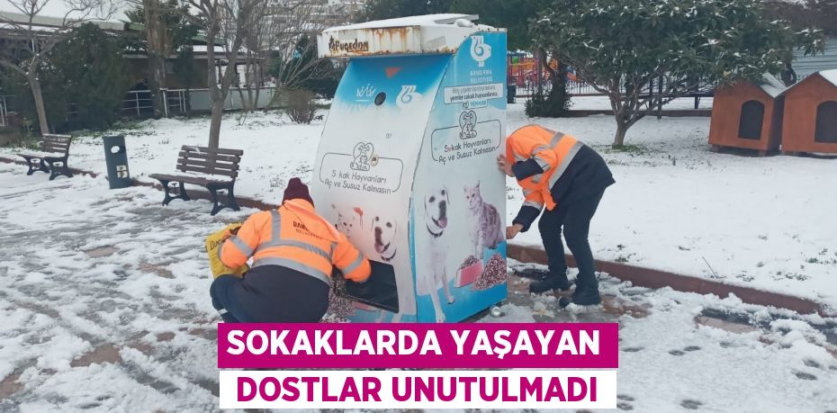 SOKAKLARDA YAŞAYAN  DOSTLAR UNUTULMADI