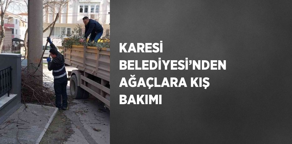 KARESİ BELEDİYESİ’NDEN AĞAÇLARA KIŞ BAKIMI