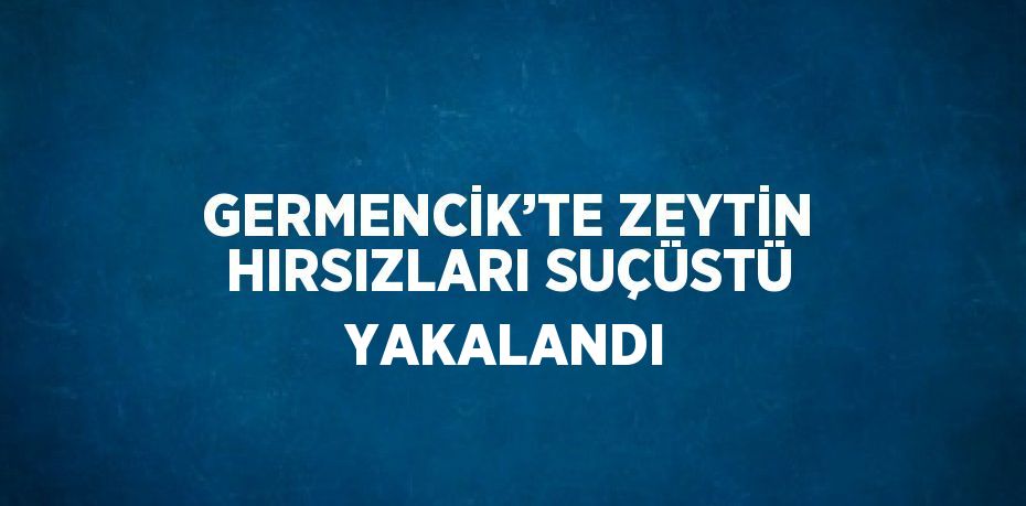 GERMENCİK’TE ZEYTİN HIRSIZLARI SUÇÜSTÜ YAKALANDI