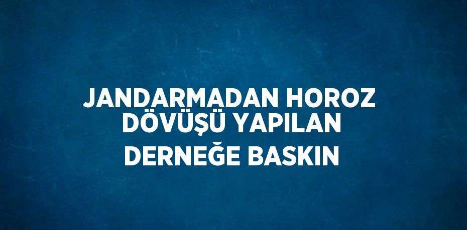 JANDARMADAN HOROZ DÖVÜŞÜ YAPILAN DERNEĞE BASKIN