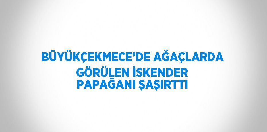 BÜYÜKÇEKMECE’DE AĞAÇLARDA GÖRÜLEN İSKENDER PAPAĞANI ŞAŞIRTTI