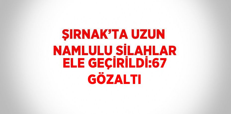 ŞIRNAK’TA UZUN NAMLULU SİLAHLAR ELE GEÇİRİLDİ:67 GÖZALTI