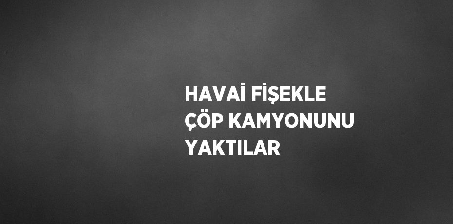 HAVAİ FİŞEKLE ÇÖP KAMYONUNU YAKTILAR