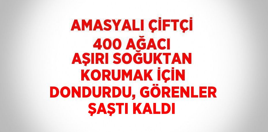 AMASYALI ÇİFTÇİ 400 AĞACI AŞIRI SOĞUKTAN KORUMAK İÇİN DONDURDU, GÖRENLER ŞAŞTI KALDI