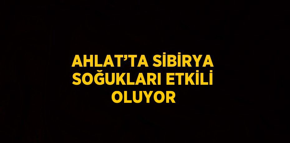 AHLAT’TA SİBİRYA SOĞUKLARI ETKİLİ OLUYOR